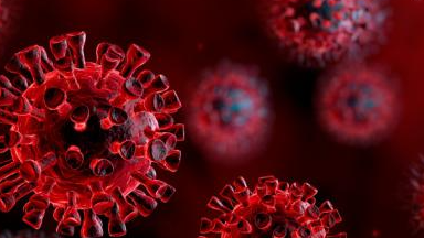 WHO: Nem szabad lazítani a járvány elleni intézkedéseken - HVG cikk