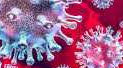 Több vagy kevesebb biztosítást kötünk a koronavírus-járványban? - Portfolio cikk